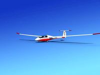 Duo Discus Sailplane