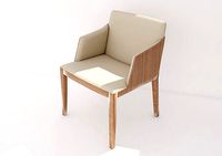 Modern Design Armchair