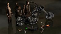 Walking Dead Daryl Dixon Set