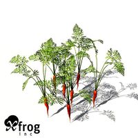 XfrogPlants Carrot