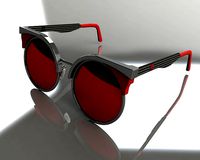 Retro Pantho sunglasses