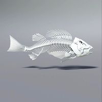 Perch