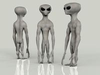 Gray Alien
