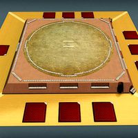 Sumo ring dojo sport