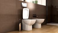 Ideal standard Cantica toilet