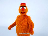 Zaydoon Muppet