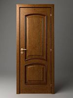 Wooden Door