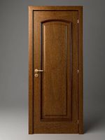 Wooden Door