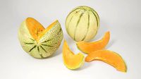 VP Cantaloupe melon