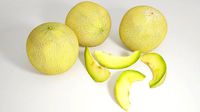 VP Galia Melon