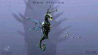 Sea Horse