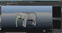 elephant rig