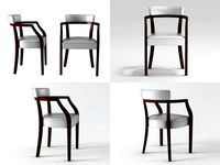 Neoz easy chair