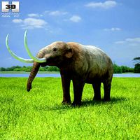 Mastodon Mammut Americanum