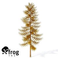 XfrogPlants Autumn European Larch