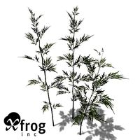 XfrogPlants Mugwort