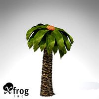 XfrogPlants Bjuvia