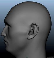 head Geometry MultiUV