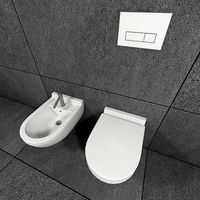 toilet and bidet starck3 hanging