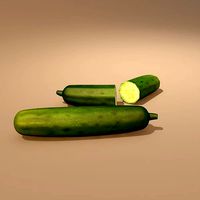 Cucumber