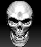 Skull