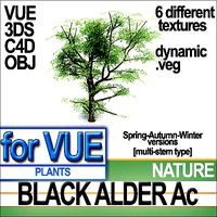 Black Alder Tree Ac veg dynamic
