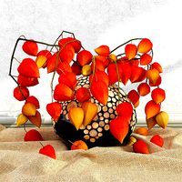 physalis in a vase