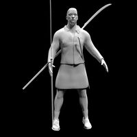 Celtic Warrior rigged