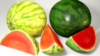 VP Watermelons