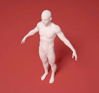 Synthetic humanoid