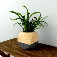 GEOMETRIC PLANT CUBE