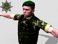 British Royal Anglian Woodland Rigged soldier