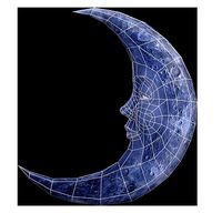 Moon satellite