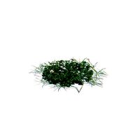 Simple Green Grass
