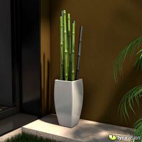 Plantpot with Bamboo Canes