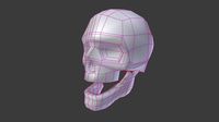 Skull