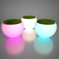 Illuminated Planter