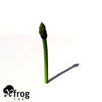 XfrogPlants Asparagus