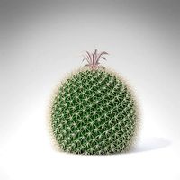 Miller Pincushion