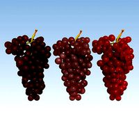 Grapes Red