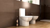 Ideal standard Cantica toilet N15