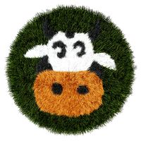Children rug cow
