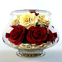 Roses in the aquarium