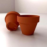 Flower Pot