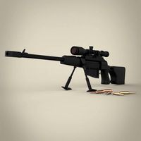 R4P3 Sniper Gun
