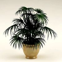 Plant 09