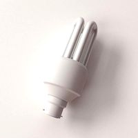 CFL Bulb