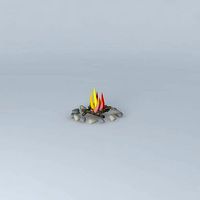CAMPFIRE