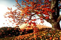 Broadleaves Pack