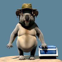 Koala Bill Character